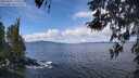 ./images/koeye/fitz-hugh/20260415/fitz-hugh20260415_115501M.jpg