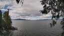 ./images/koeye/fitz-hugh/20260415/fitz-hugh20260415_121002M.jpg
