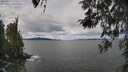 ./images/koeye/fitz-hugh/20260415/fitz-hugh20260415_121501M.jpg