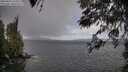 ./images/koeye/fitz-hugh/20260415/fitz-hugh20260415_124501M.jpg
