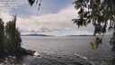 ./images/koeye/fitz-hugh/20260415/fitz-hugh20260415_135001M.jpg