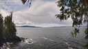 ./images/koeye/fitz-hugh/20260415/fitz-hugh20260415_135501M.jpg