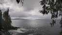 ./images/koeye/fitz-hugh/20260415/fitz-hugh20260415_143501M.jpg
