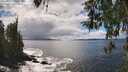 ./images/koeye/fitz-hugh/20260415/fitz-hugh20260415_145501M.jpg