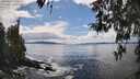 ./images/koeye/fitz-hugh/20260415/fitz-hugh20260415_150501M.jpg