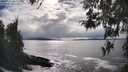 ./images/koeye/fitz-hugh/20260415/fitz-hugh20260415_163001M.jpg