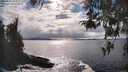 ./images/koeye/fitz-hugh/20260415/fitz-hugh20260415_164001M.jpg