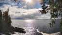 ./images/koeye/fitz-hugh/20260415/fitz-hugh20260415_164501M.jpg