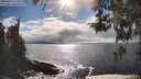 ./images/koeye/fitz-hugh/20260415/fitz-hugh20260415_165001M.jpg