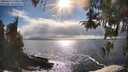./images/koeye/fitz-hugh/20260415/fitz-hugh20260415_170502M.jpg