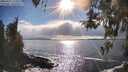 ./images/koeye/fitz-hugh/20260415/fitz-hugh20260415_171501M.jpg