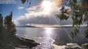 ./images/koeye/fitz-hugh/20260415/fitz-hugh20260415_172502M.jpg