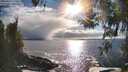 ./images/koeye/fitz-hugh/20260415/fitz-hugh20260415_174501M.jpg