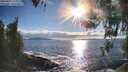 ./images/koeye/fitz-hugh/20260415/fitz-hugh20260415_180001M.jpg