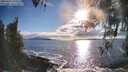 ./images/koeye/fitz-hugh/20260415/fitz-hugh20260415_181502M.jpg
