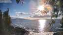 ./images/koeye/fitz-hugh/20260415/fitz-hugh20260415_182501M.jpg