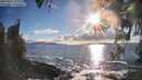 ./images/koeye/fitz-hugh/20260415/fitz-hugh20260415_183002M.jpg