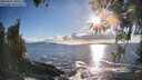 ./images/koeye/fitz-hugh/20260415/fitz-hugh20260415_183501M.jpg