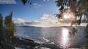 ./images/koeye/fitz-hugh/20260415/fitz-hugh20260415_190502M.jpg