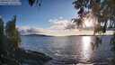 ./images/koeye/fitz-hugh/20260415/fitz-hugh20260415_191002M.jpg