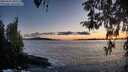 ./images/koeye/fitz-hugh/20260415/fitz-hugh20260415_202502M.jpg