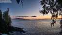 ./images/koeye/fitz-hugh/20260415/fitz-hugh20260415_203501M.jpg
