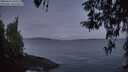 ./images/koeye/fitz-hugh/20260416/fitz-hugh20260416_060502M.jpg