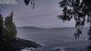./images/koeye/fitz-hugh/20260416/fitz-hugh20260416_061001M.jpg