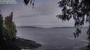 ./images/koeye/fitz-hugh/20260416/fitz-hugh20260416_061501M.jpg