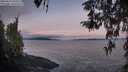 ./images/koeye/fitz-hugh/20260416/fitz-hugh20260416_063501M.jpg