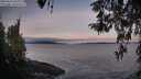 ./images/koeye/fitz-hugh/20260416/fitz-hugh20260416_064001M.jpg