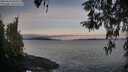./images/koeye/fitz-hugh/20260416/fitz-hugh20260416_064501M.jpg