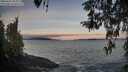 ./images/koeye/fitz-hugh/20260416/fitz-hugh20260416_065001M.jpg