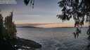 ./images/koeye/fitz-hugh/20260416/fitz-hugh20260416_065501M.jpg