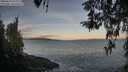 ./images/koeye/fitz-hugh/20260416/fitz-hugh20260416_071502M.jpg