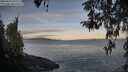 ./images/koeye/fitz-hugh/20260416/fitz-hugh20260416_072001M.jpg