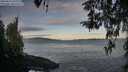 ./images/koeye/fitz-hugh/20260416/fitz-hugh20260416_072501M.jpg