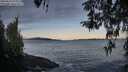 ./images/koeye/fitz-hugh/20260416/fitz-hugh20260416_073001M.jpg