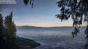 ./images/koeye/fitz-hugh/20260416/fitz-hugh20260416_074001M.jpg