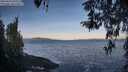 ./images/koeye/fitz-hugh/20260416/fitz-hugh20260416_074501M.jpg