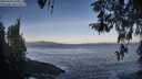 ./images/koeye/fitz-hugh/20260416/fitz-hugh20260416_075501M.jpg