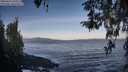 ./images/koeye/fitz-hugh/20260416/fitz-hugh20260416_080001M.jpg