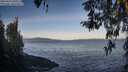 ./images/koeye/fitz-hugh/20260416/fitz-hugh20260416_080501M.jpg