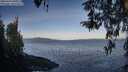 ./images/koeye/fitz-hugh/20260416/fitz-hugh20260416_081001M.jpg
