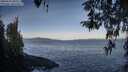 ./images/koeye/fitz-hugh/20260416/fitz-hugh20260416_081501M.jpg