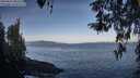 ./images/koeye/fitz-hugh/20260416/fitz-hugh20260416_082501M.jpg