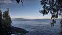 ./images/koeye/fitz-hugh/20260416/fitz-hugh20260416_083002M.jpg