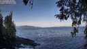 ./images/koeye/fitz-hugh/20260416/fitz-hugh20260416_083501M.jpg