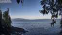 ./images/koeye/fitz-hugh/20260416/fitz-hugh20260416_084001M.jpg