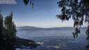 ./images/koeye/fitz-hugh/20260416/fitz-hugh20260416_085001M.jpg